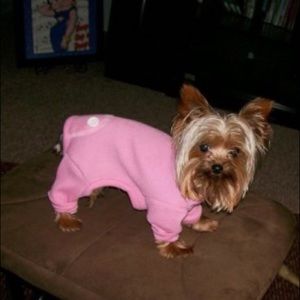 GOOD DAY LADIES!  Time to get dressed!